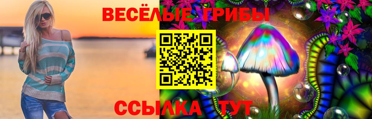 Псилоцибиновые грибы GOLDEN TEACHER  Вход с VPN  Екатеринбург  Псилоцибиновые грибы GOLDEN TEACHER 