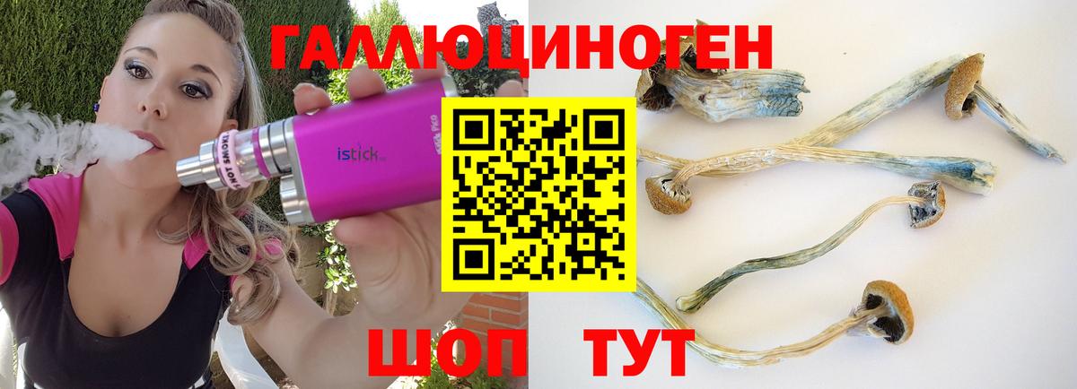 Галлюциногенные грибы GOLDEN TEACHER Екатеринбург